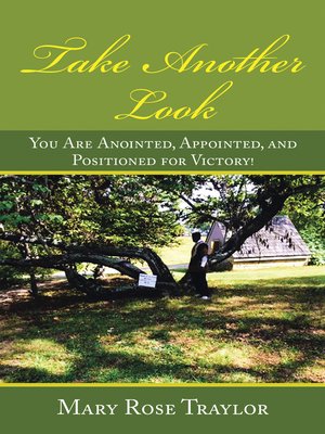 cover image of Take Another Look